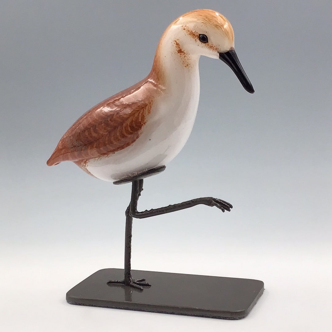 Sandpiper