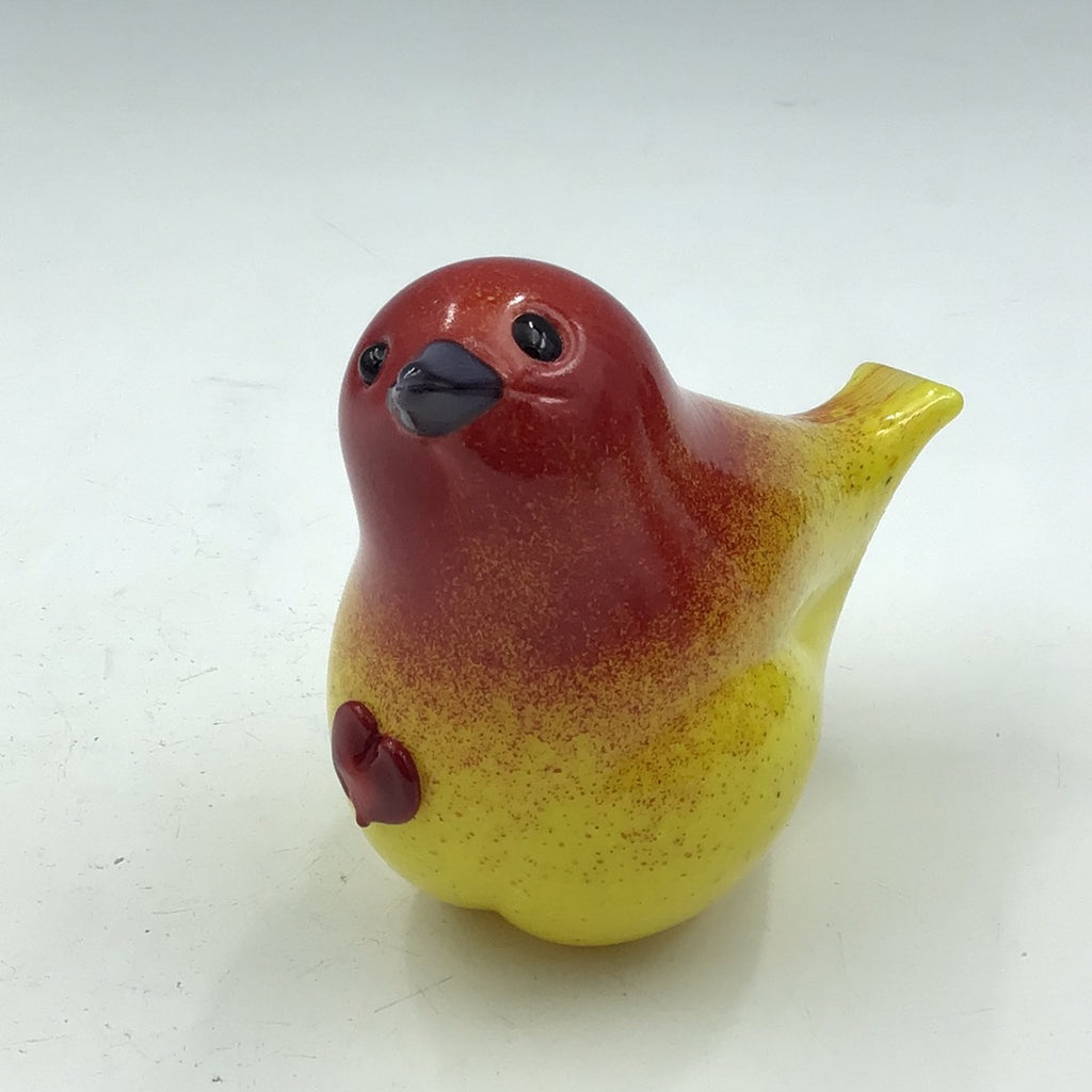 Yellow Blush Bird Heart