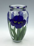 Bearded Iris