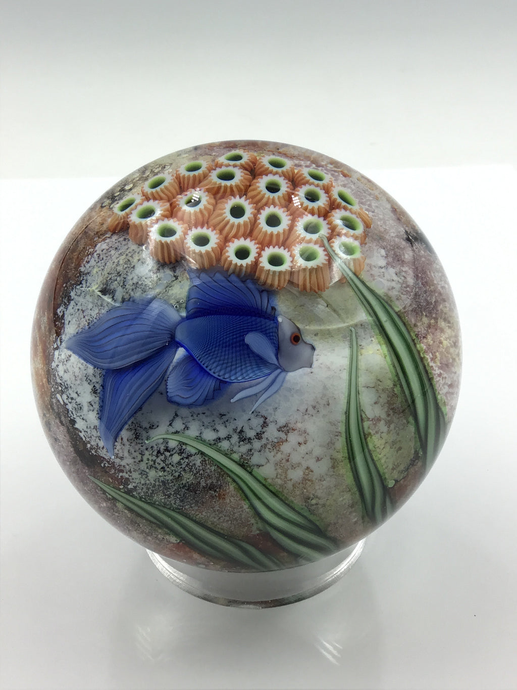 All Products – Orient & Flume Art Glass