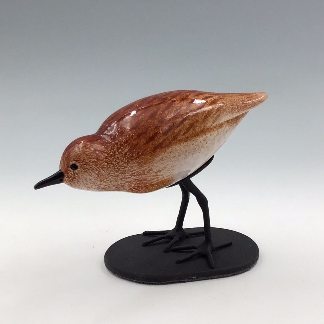 Sandpiper