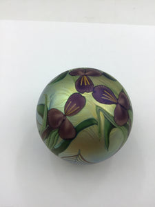 Amethyst Irises