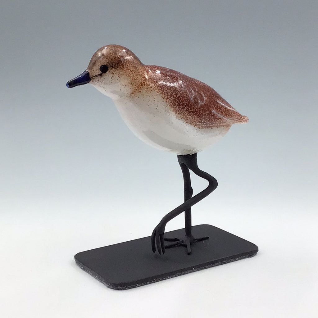 Sandpiper