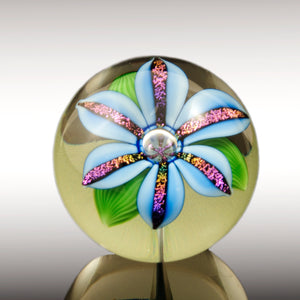 Blue Dichro Lilly
