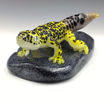 Leopard Gecko