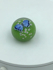 Blue Butterfly